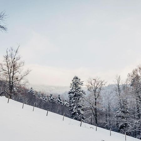Waldjuwel Mostviertel Allhartsberg Buitenkant foto