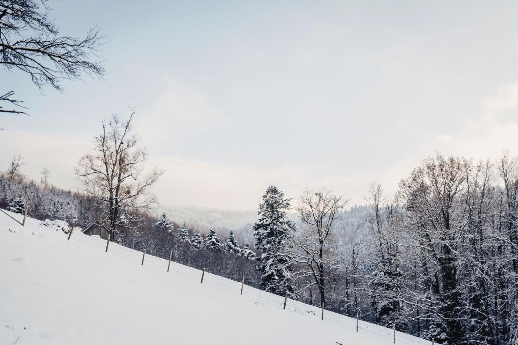 Waldjuwel Mostviertel Allhartsberg Buitenkant foto